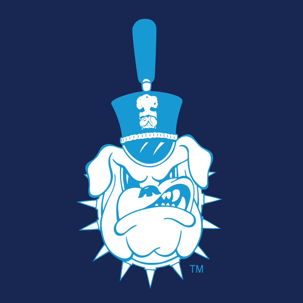 The Citadel Bulldogs 0-Pres Alternate Logo diy iron on heat transfer